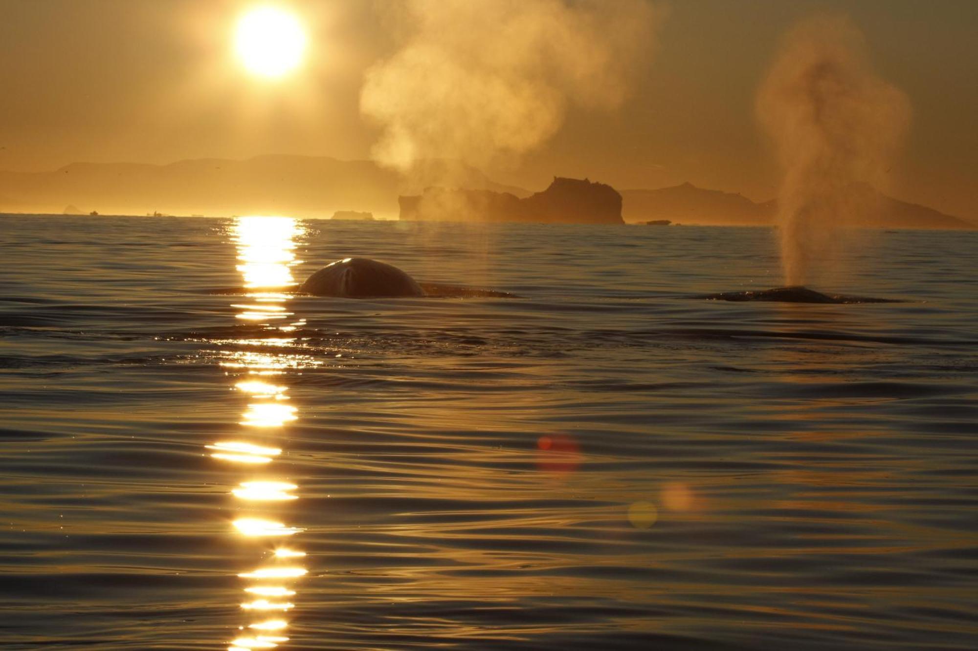 Hotel Icefiord Ilulissat Bagian luar foto