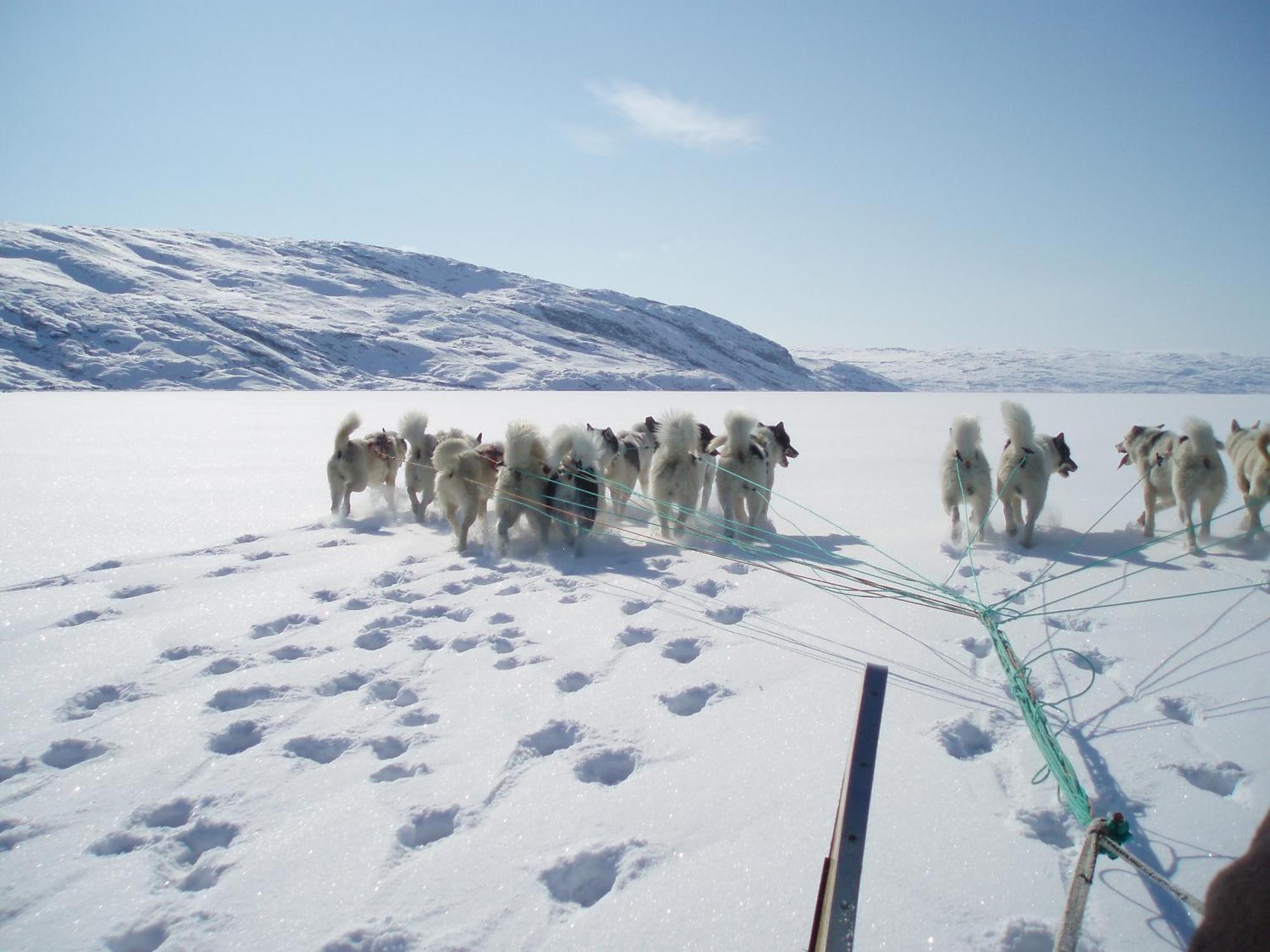 Hotel Icefiord Ilulissat Bagian luar foto